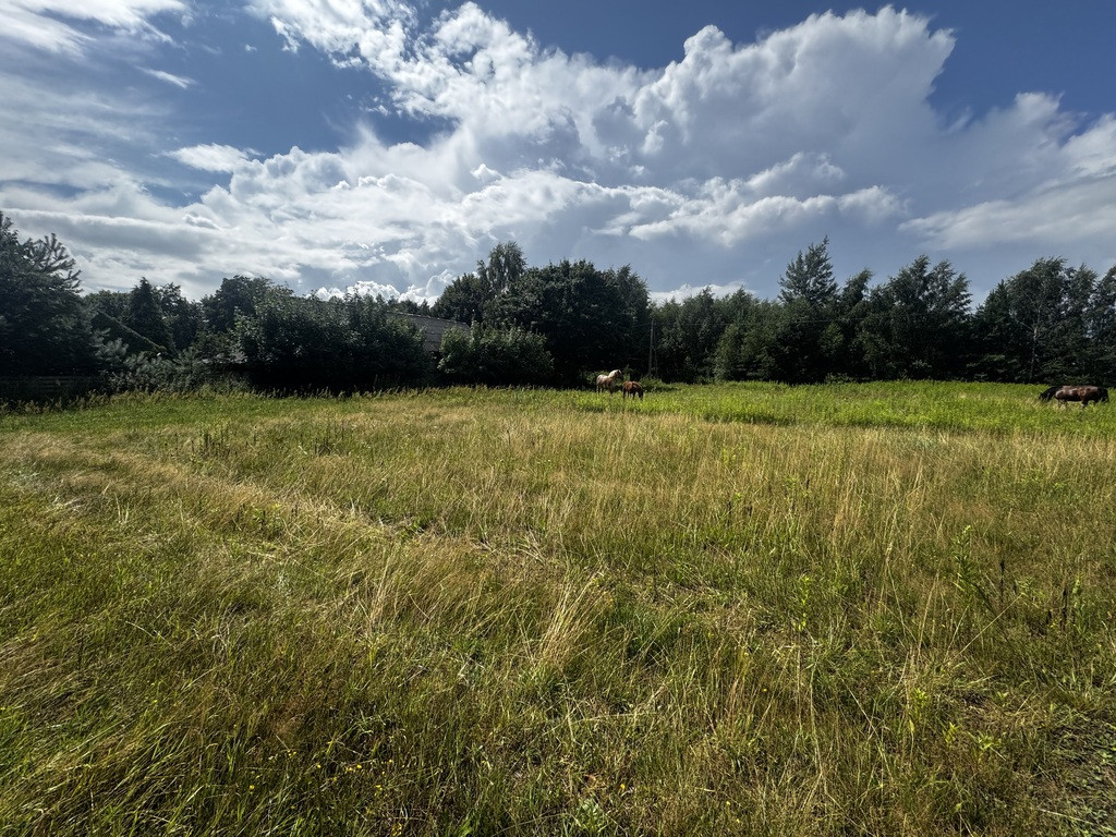 Działka Sprzedaż Górzno Adama Mickiewicza 7