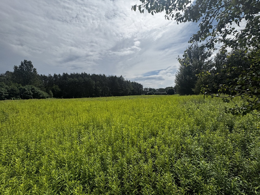 Działka Sprzedaż Górzno Adama Mickiewicza 10