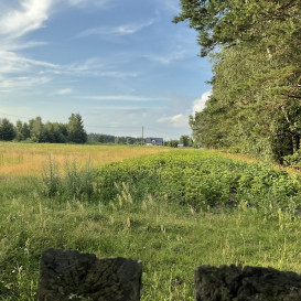 Działka Sprzedaż Górzno Adama Mickiewicza
