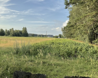 Działka Sprzedaż Górzno Adama Mickiewicza