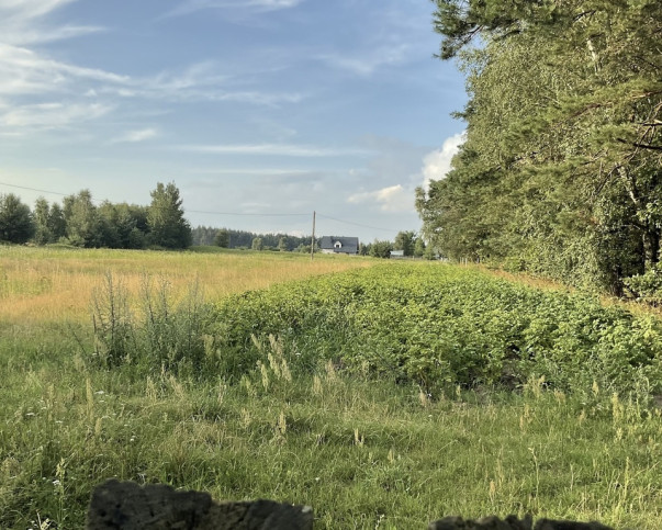 Działka Sprzedaż Górzno Adama Mickiewicza 4