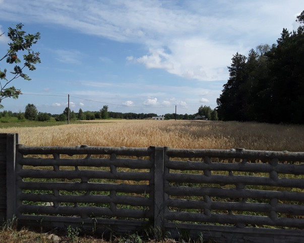 Działka Sprzedaż Górzno Adama Mickiewicza 5